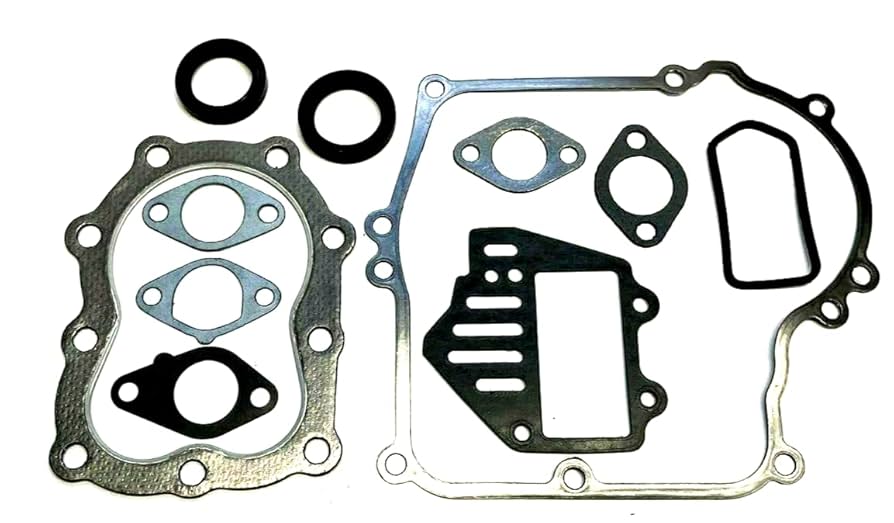Amazon.com: Lil Red Barn Complete Gasket Set, Seals